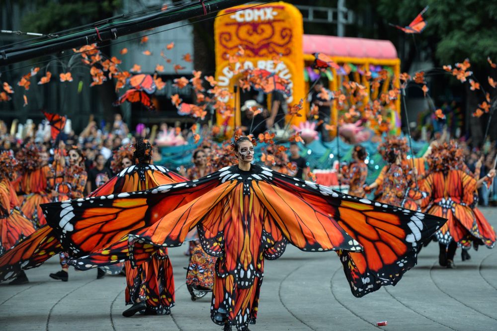 Monarch Butterfly Legends