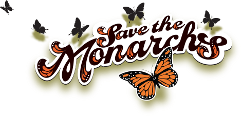 Monarch Butterfly Migration